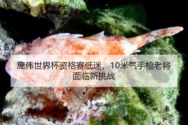 pang-wei-shi-jie-bei-zi-ge-sai-di-mi-mi-qi-shou-qiang-lao-jiang-mian-lin-xin-tiao-zhan-2-528.jpg
